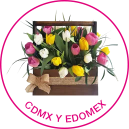 Cdmxy Edomex
