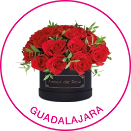 Cdmxy Edomex