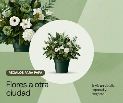 Día del Padre a distancia: enviar flores y plantas al papá en otra ciudad