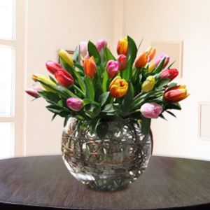 Detalle de tulipanes con gotas de agua mostrando frescura - Flores.Guru
